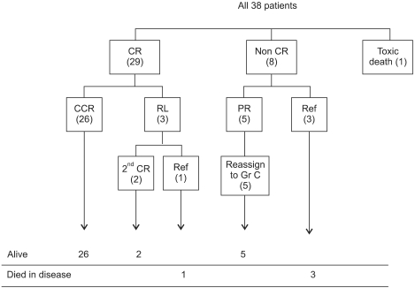 Treatment outcomes in children with Burkitt lymphoma and L3 acute lymphoblastic leukemia treated using the lymphoma malignancy B protocol at a single institution.