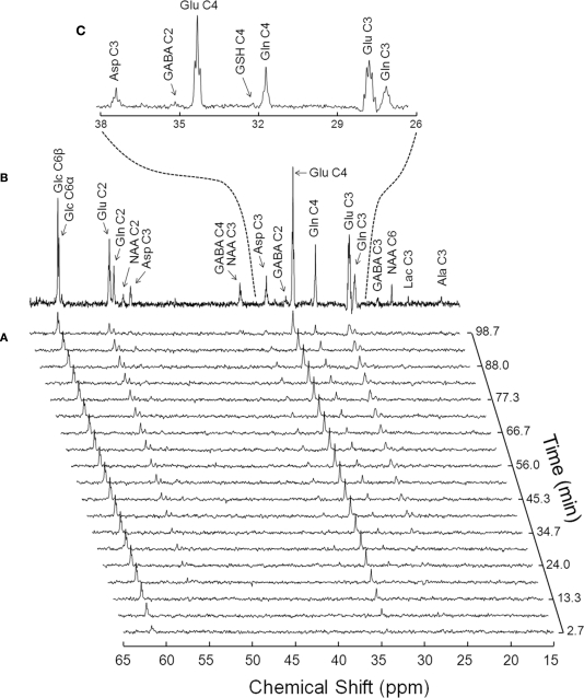 Compartmentalized Cerebral Metabolism of [1,6-(13)C]Glucose Determined by in vivo (13)C NMR Spectroscopy at 14.1 T.