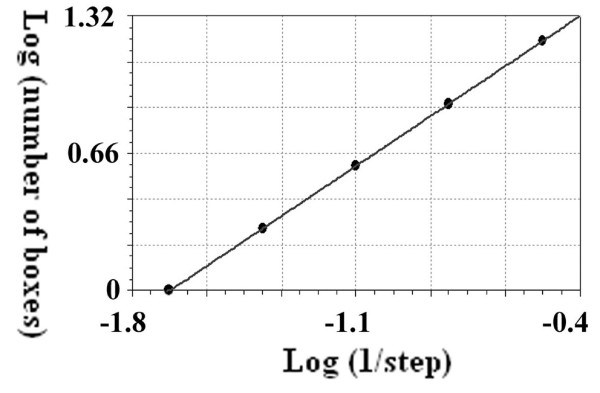 Self-organization of developing embryo using scale-invariant approach.