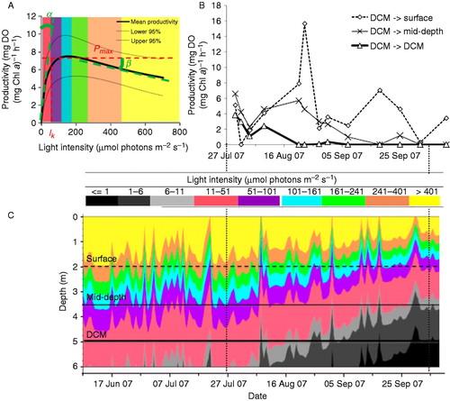 Recurrent internal waves in a small lake: Potential ecological consequences for metalimnetic phytoplankton populations