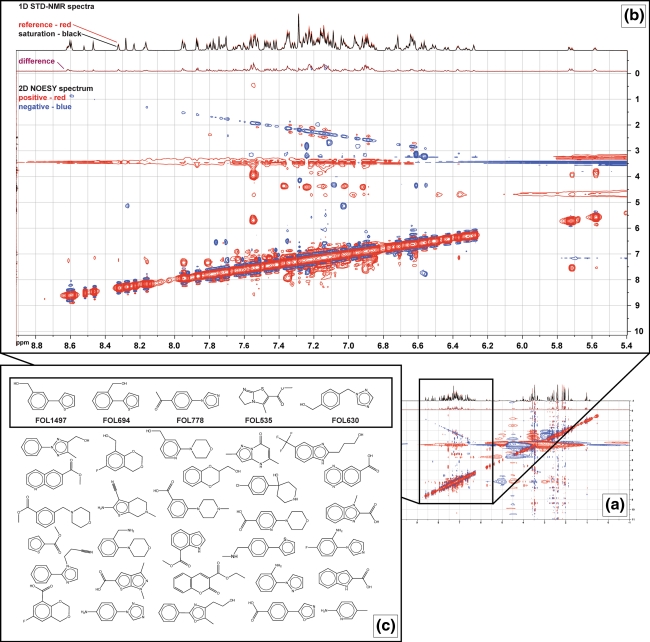 Leveraging structure determination with fragment screening for infectious disease drug targets: MECP synthase from Burkholderia pseudomallei.