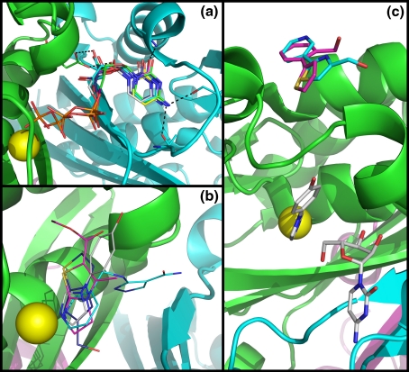 Leveraging structure determination with fragment screening for infectious disease drug targets: MECP synthase from Burkholderia pseudomallei.