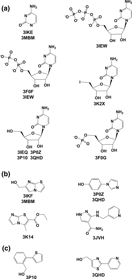 Leveraging structure determination with fragment screening for infectious disease drug targets: MECP synthase from Burkholderia pseudomallei.