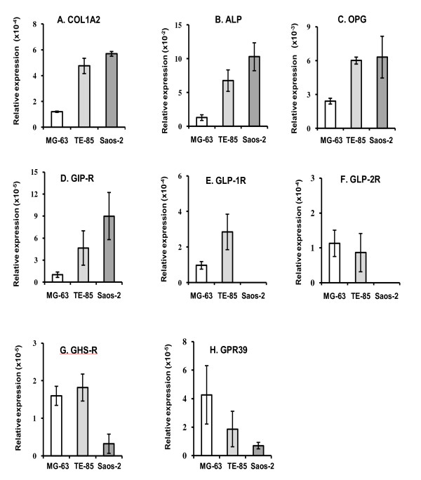 Receptors and effects of gut hormones in three osteoblastic cell lines.