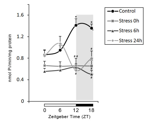 Effects of restraint stress on the daily rhythm of hydrolysis of adenine nucleotides in rat serum.