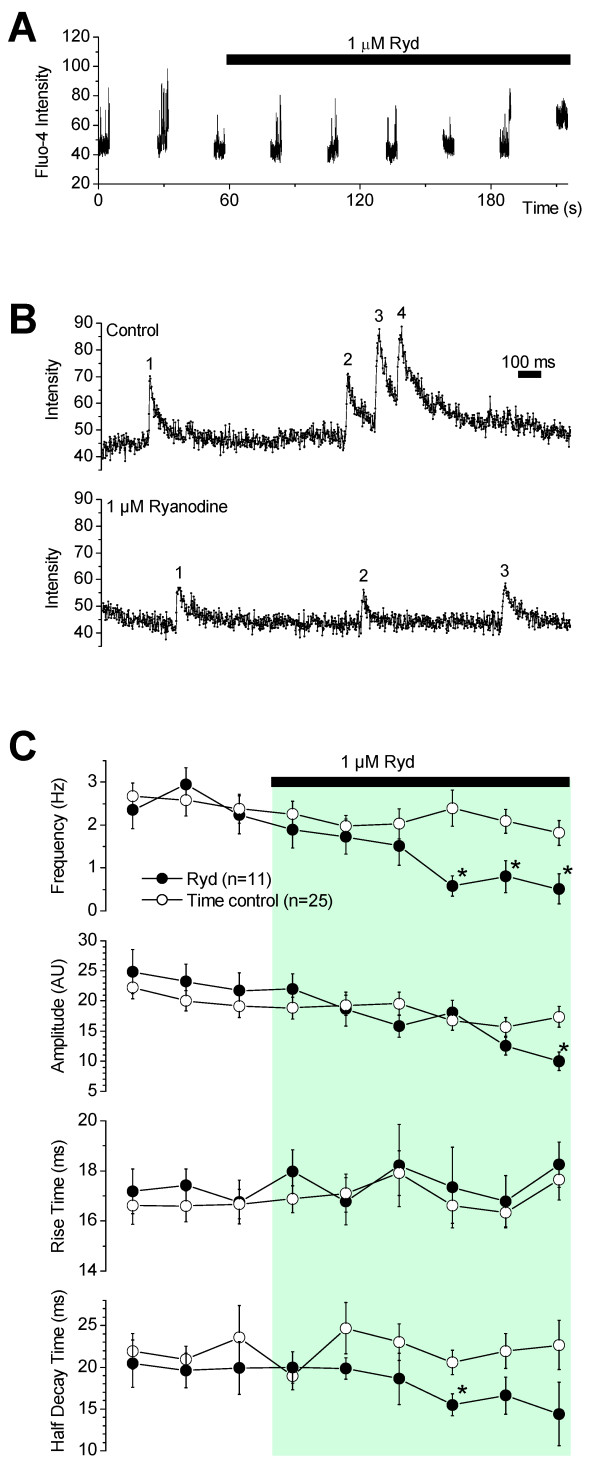 Calcium sparks in the intact gerbil spiral modiolar artery.
