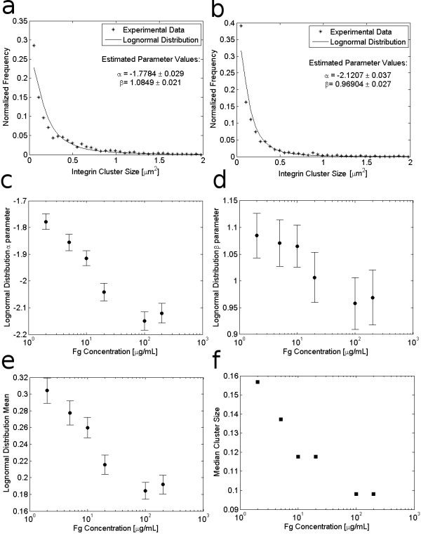 Probabilistic modeling and analysis of the effects of extra-cellular matrix density on the sizes, shapes, and locations of integrin clusters in adherent cells.