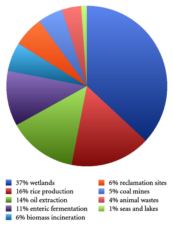 The benefits of supplementary fat in feed rations for ruminants with particular focus on reducing levels of methane production.