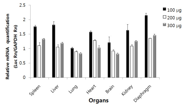 Biodistribution and blood clearance of plasmid DNA administered in arginine peptide complexes.