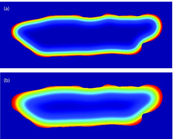 Introduction of non-linear elasticity models for characterization of shape and deformation statistics: application to contractility assessment of isolated adult cardiocytes.