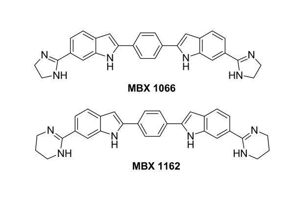 Silver triflate catalyzed synthesis of 3-aminoalkylated indoles and evaluation of their antibacterial activities.