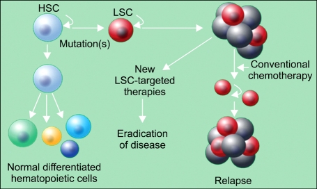 Recent advances in the path toward the cure for chronic myeloid leukemia.