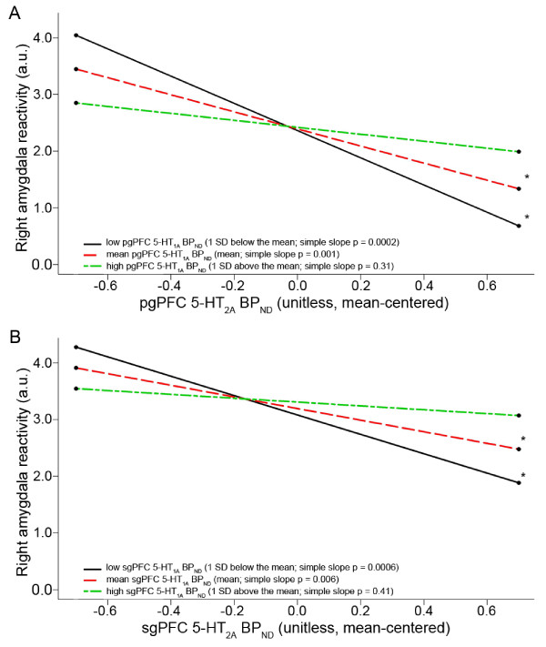 Medial prefrontal cortex serotonin 1A and 2A receptor binding interacts to predict threat-related amygdala reactivity.
