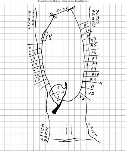 An improved approach to graph cannulation