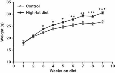 The effect of paternal diet-induced obesity on sperm function and fertilization in a mouse model