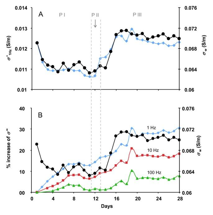 Geophysical monitoring and reactive transport modeling of ureolytically-driven calcium carbonate precipitation