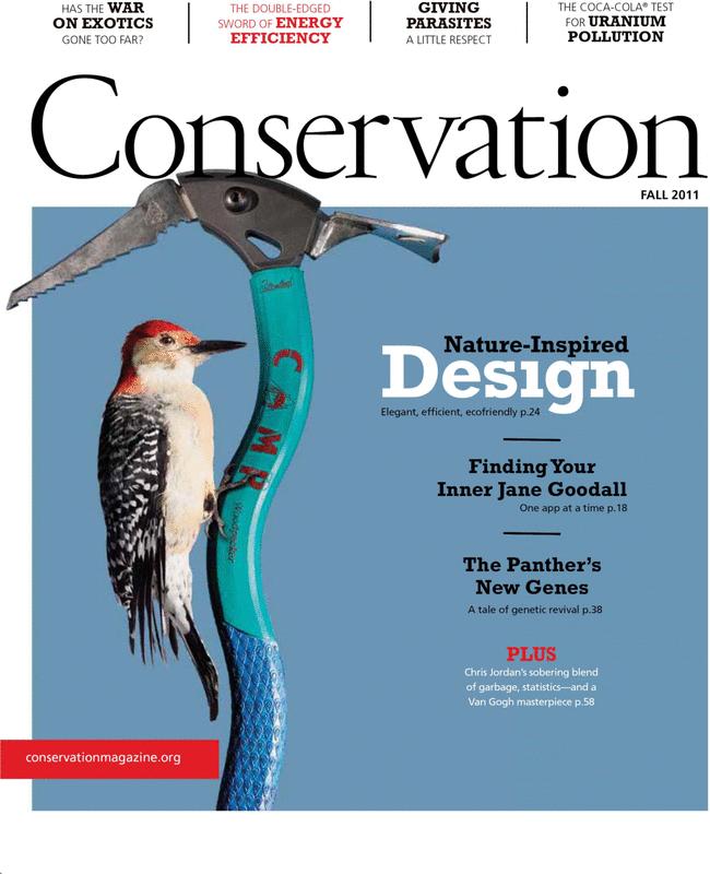 Conservation Magazine, Fall 2011