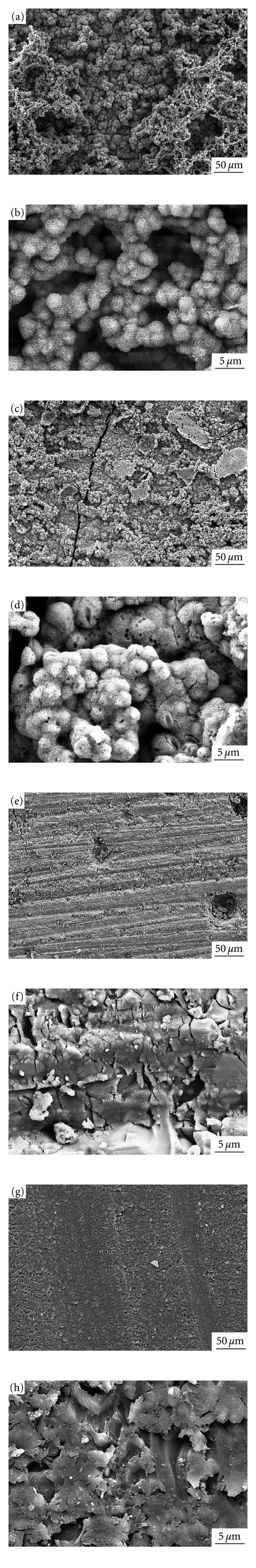 Hydroxyapatite formation on a novel dental cement in human saliva.