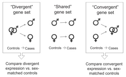 Unique sex-based approach identifies transcriptomic biomarkers associated with non-syndromic craniosynostosis.