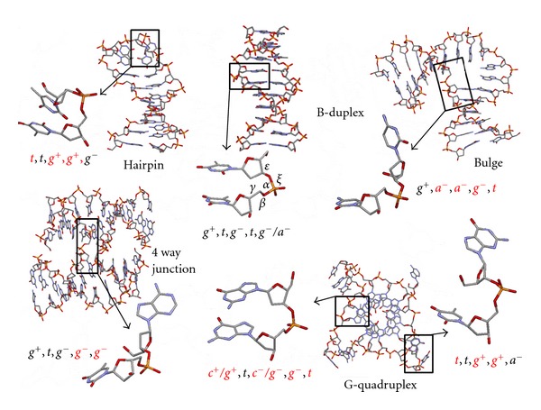 Dioxaphosphorinane-constrained nucleic Acid dinucleotides as tools for structural tuning of nucleic acids.