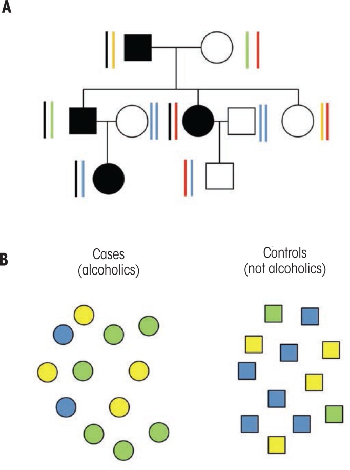 Assessing the genetic risk for alcohol use disorders.