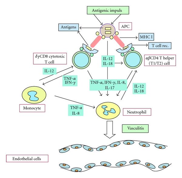 Development of Immunopathogenesis Strategies to Treat Behçet's Disease.