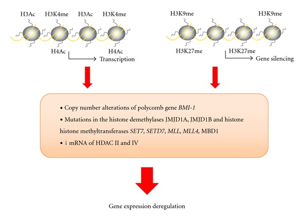 DNA methylation, histone modifications, and signal transduction pathways: a close relationship in malignant gliomas pathophysiology.