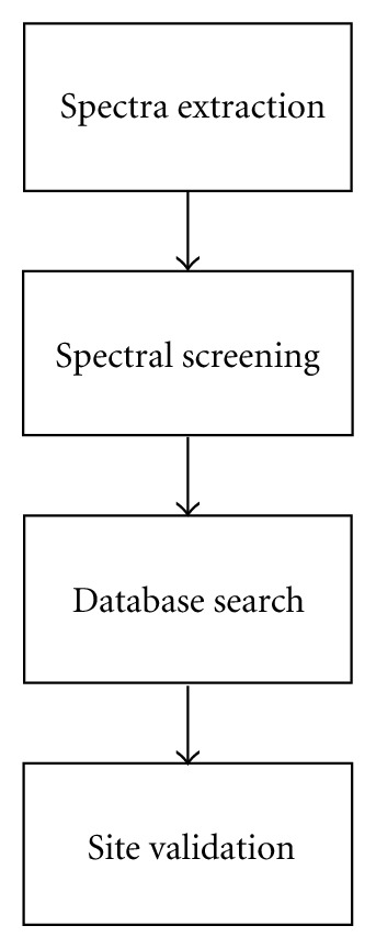 High mass accuracy phosphopeptide identification using tandem mass spectra.