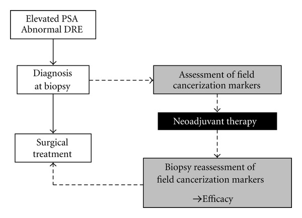 Markers of field cancerization: proposed clinical applications in prostate biopsies.