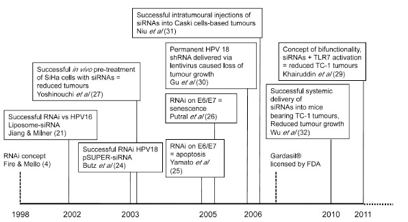 RNA interference for the treatment of papillomavirus disease.