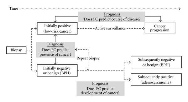 Markers of field cancerization: proposed clinical applications in prostate biopsies.