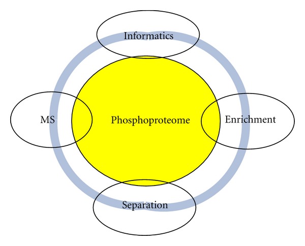 High mass accuracy phosphopeptide identification using tandem mass spectra.