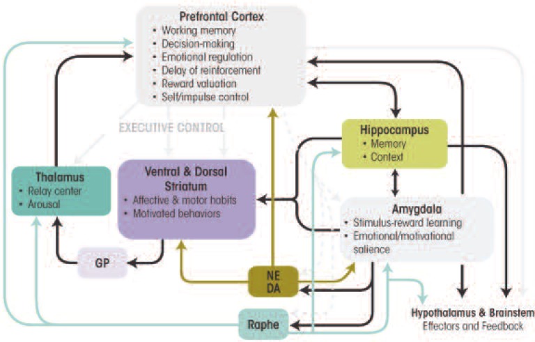 Resilience to meet the challenge of addiction: psychobiology and clinical considerations.