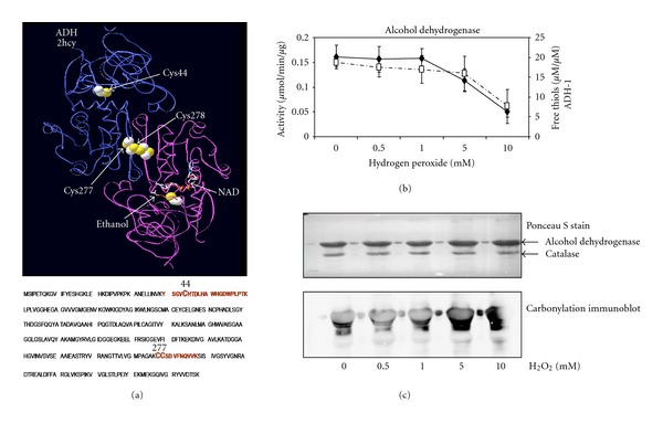 Application of iTRAQ Reagents to Relatively Quantify the Reversible Redox State of Cysteine Residues.