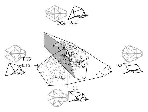 Morphometric analysis of cranial shape in fossil and recent euprimates.