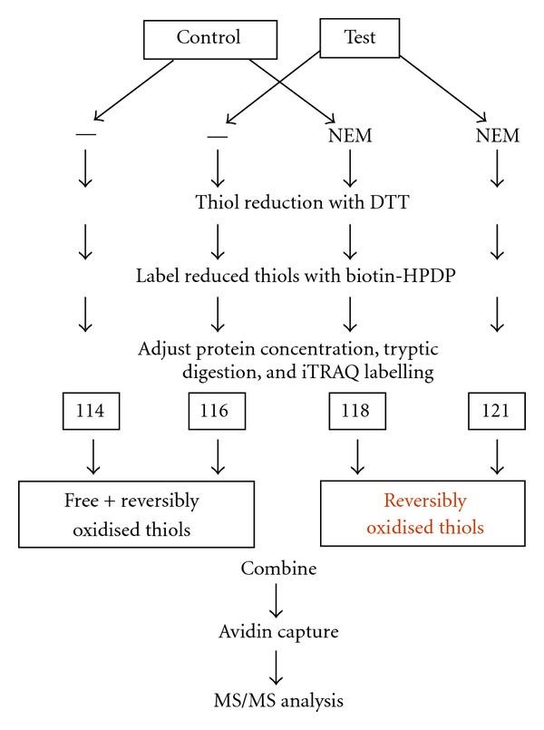 Application of iTRAQ Reagents to Relatively Quantify the Reversible Redox State of Cysteine Residues.