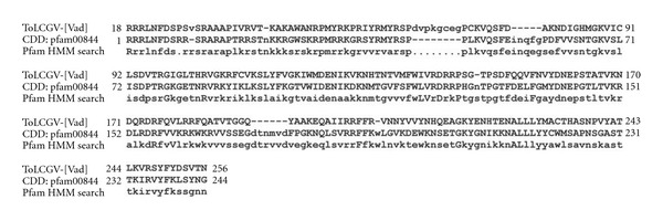 Evolutionary and molecular aspects of Indian tomato leaf curl virus coat protein.