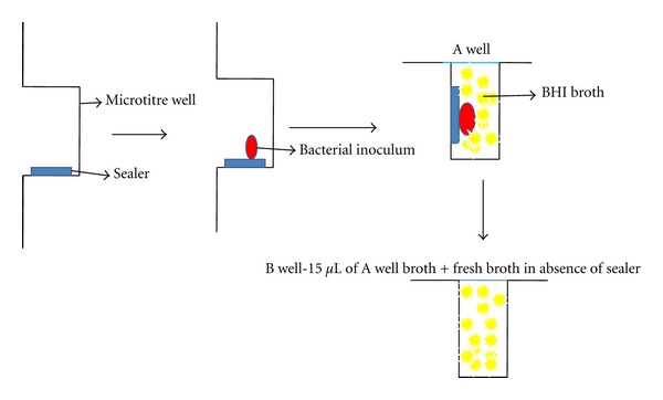 An Assessment of Antibacterial Activity of Four Endodontic Sealers on Enterococcus faecalis by a Direct Contact Test: An In Vitro Study.