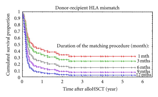 Both optimal matching and procedure duration influence survival of patients after unrelated donor hematopoietic stem cell transplantation.