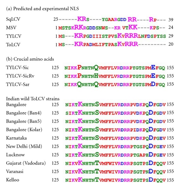 Evolutionary and molecular aspects of Indian tomato leaf curl virus coat protein.