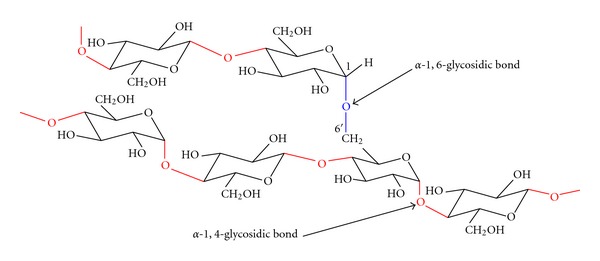 Pullulanase: role in starch hydrolysis and potential industrial applications.