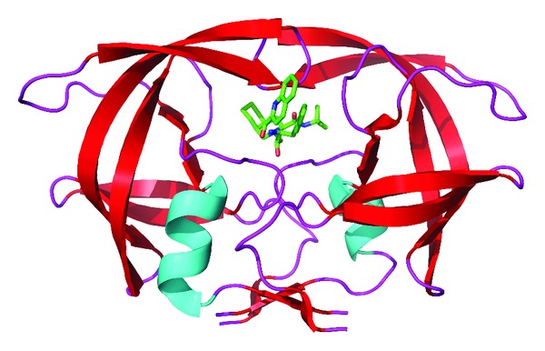 Protease-Mediated Maturation of HIV: Inhibitors of Protease and the Maturation Process.