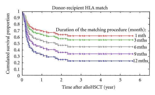 Both optimal matching and procedure duration influence survival of patients after unrelated donor hematopoietic stem cell transplantation.