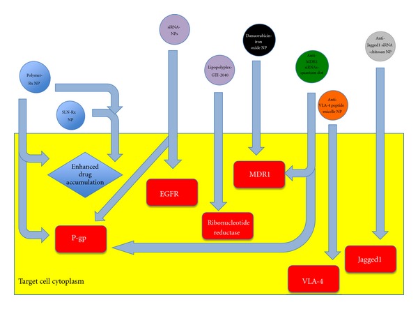 Utilisation of nanoparticle technology in cancer chemoresistance.