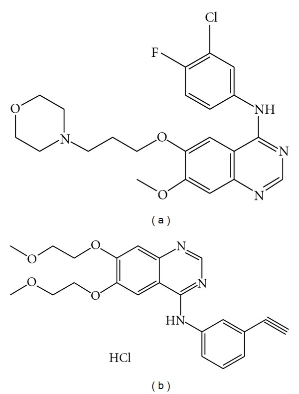 Cancer Phenotype Diagnosis and Drug Efficacy within Japanese Health Care.