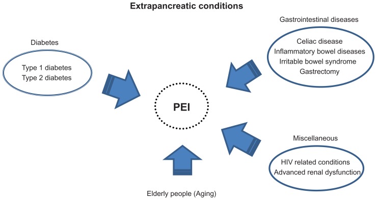 Pancrelipase: an evidence-based review of its use for treating pancreatic exocrine insufficiency.