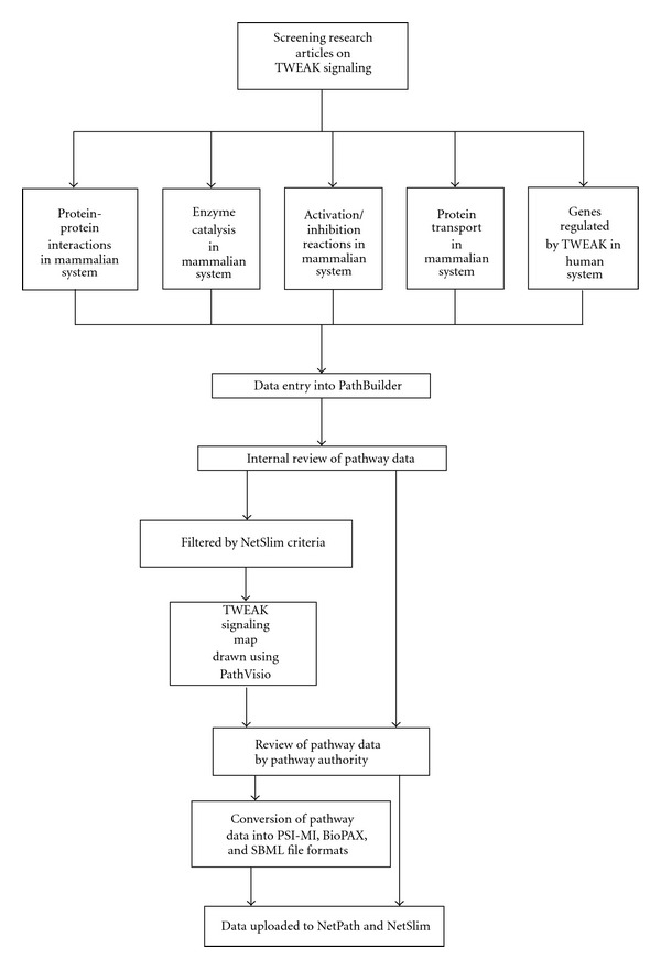 A Bioinformatics Resource for TWEAK-Fn14 Signaling Pathway.