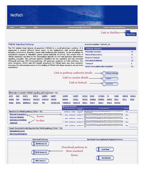 A Bioinformatics Resource for TWEAK-Fn14 Signaling Pathway.