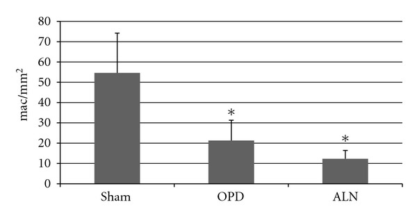 Influence of bisphosphonate treatment on medullary macrophages and osteoclasts: an experimental study.