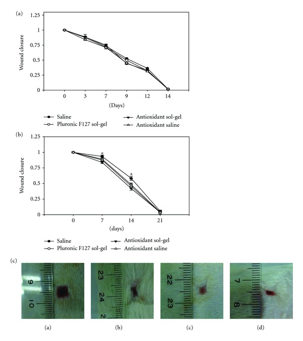 Antioxidant sol-gel improves cutaneous wound healing in streptozotocin-induced diabetic rats.